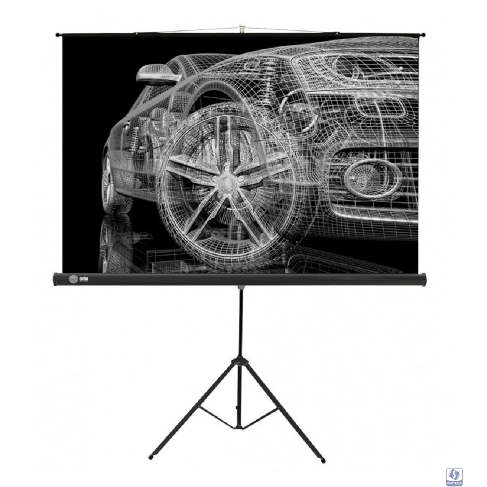 Экран Cactus Triscreen CS-PST-124x221 124.5 x 221см 16:9 напольный рулонный белый/черный