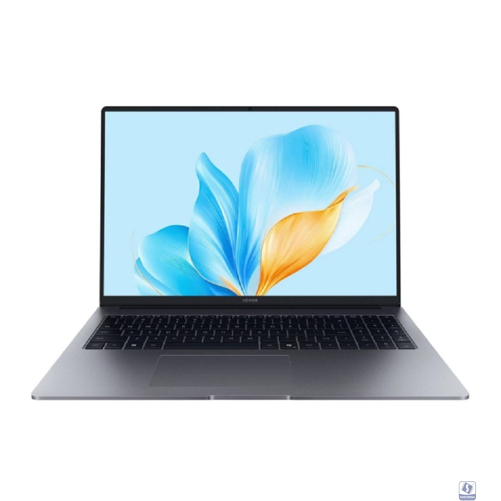 Honor MagicBook X16  BRG-385 [5301ALXS] Grey 16"