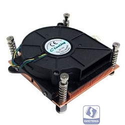 Procase CA1156