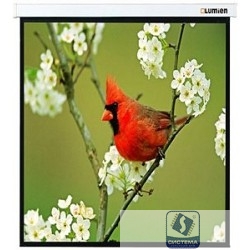 LUMIEN Master Picture LMP-100129 (220*220) 1:1, черная кайма по периметру