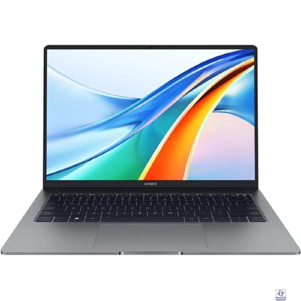 Honor MagicBook X14 Pro FRI-G58 [5301AHQK] Grey 14" 