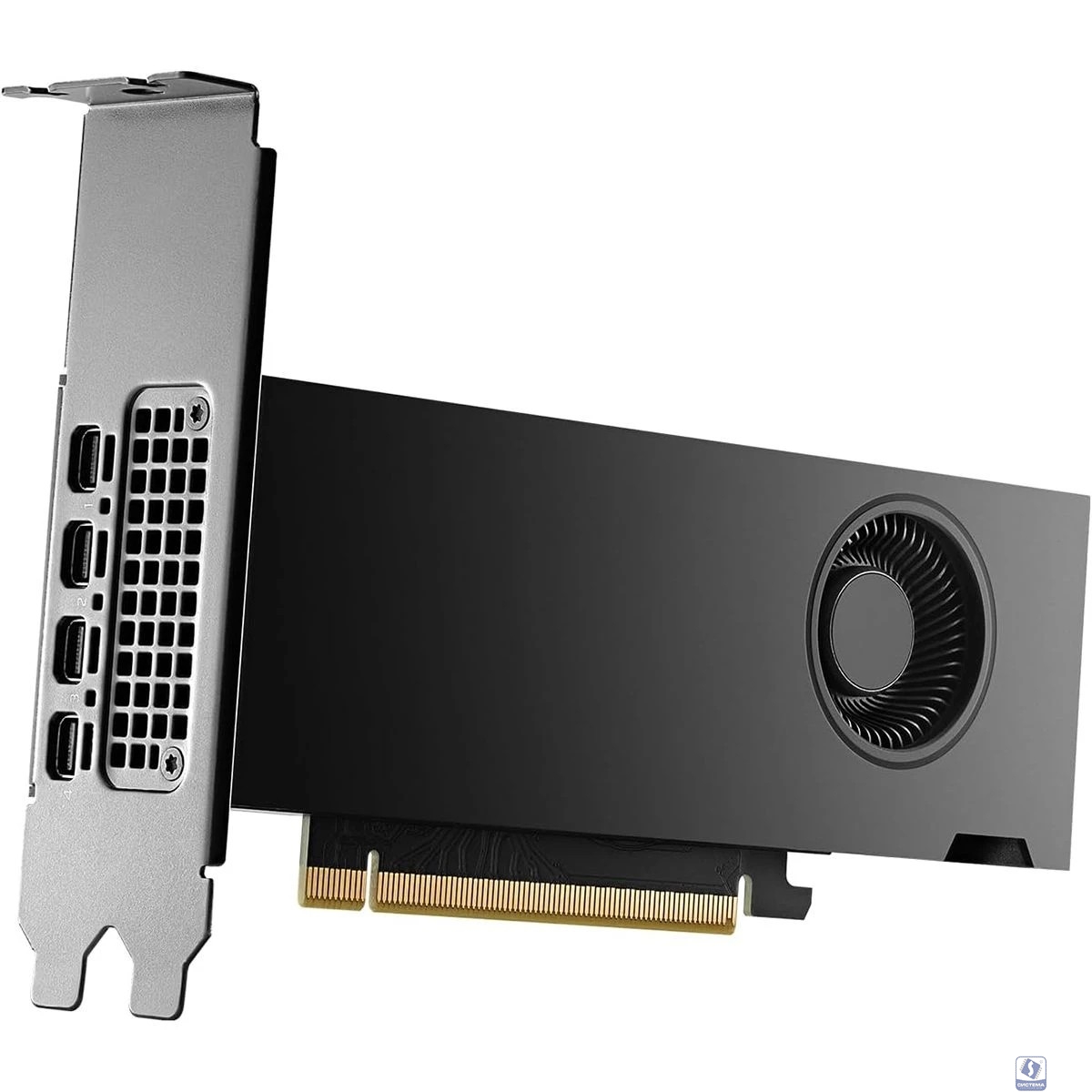 NVIDIA RTX 2000 ADA PCIe 16GB GDDR6, BLK  900-5G192-2240-000