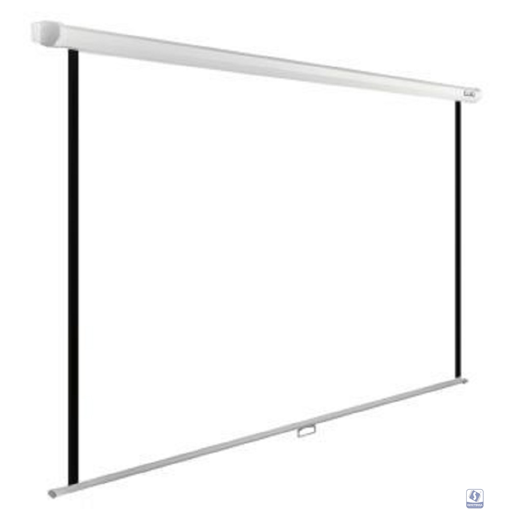 Экран Cactus WallExpert CS-PSWE-220x165-WT 220x165 см 1:1 настенно-потолочный рулонный белый