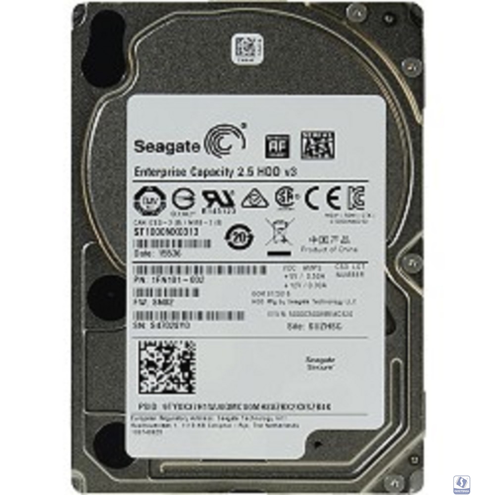 1TB Seagate Exos 7E2000 (ST1000NX0313) 