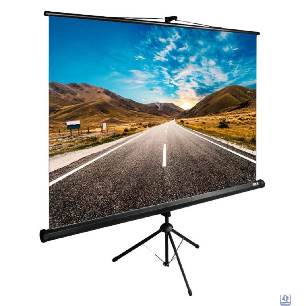 Экран Cactus TriExpert CS-PSTE-160x160-BK 160x160 см 1:1 напольный рулонный