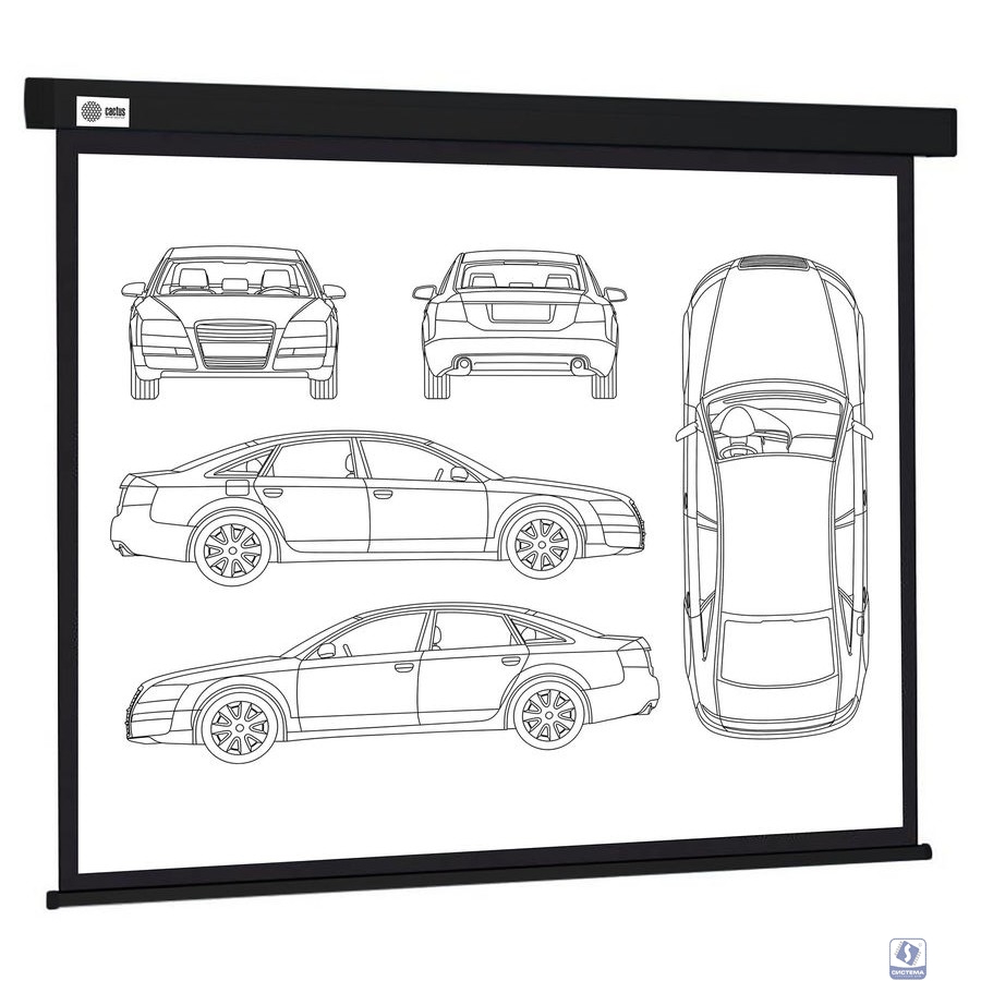 Экран Cactus Wallscreen CS-PSW-213X213-BK,  213х213 см, 1:1,  настенно-потолочный черный