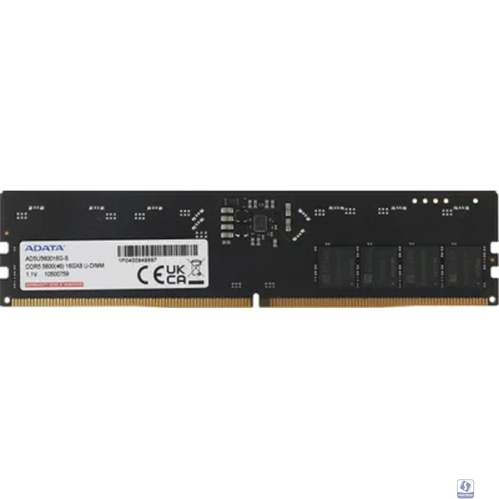 A-data DDR5 DIMM 16GB 5600 AD5U560016G-S 