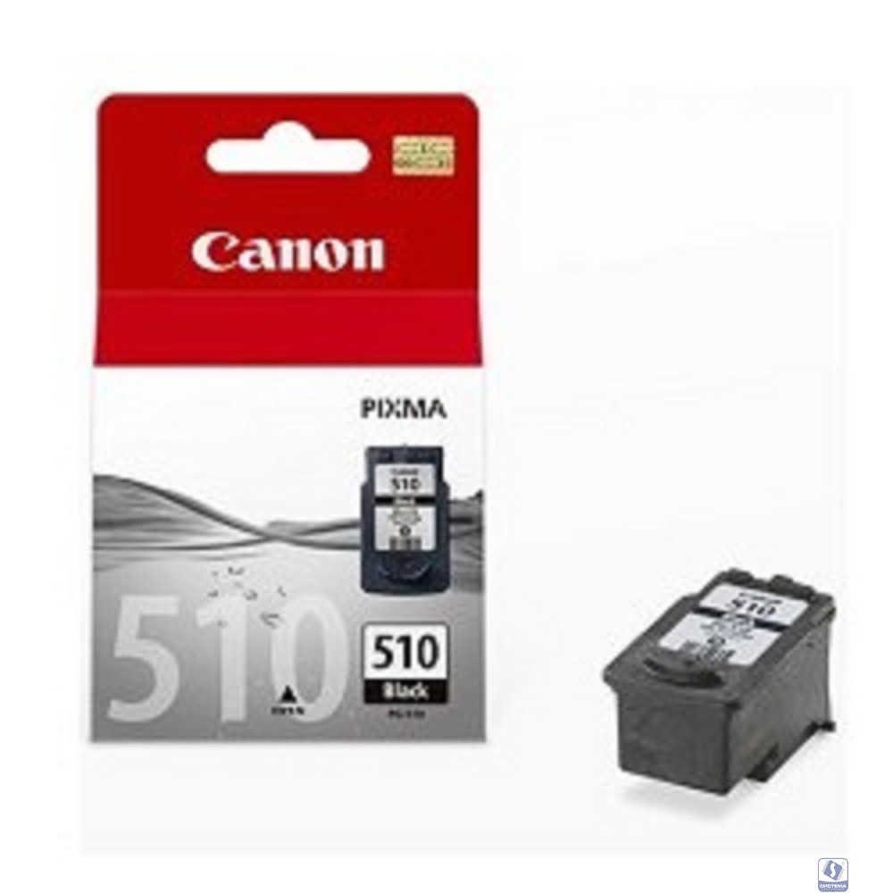 Canon PG-510Bk 2970B007 Картридж для PIXMA MP240, 260, 480, MX320, 330, черный, 220стр.  2970В007/  2970B001