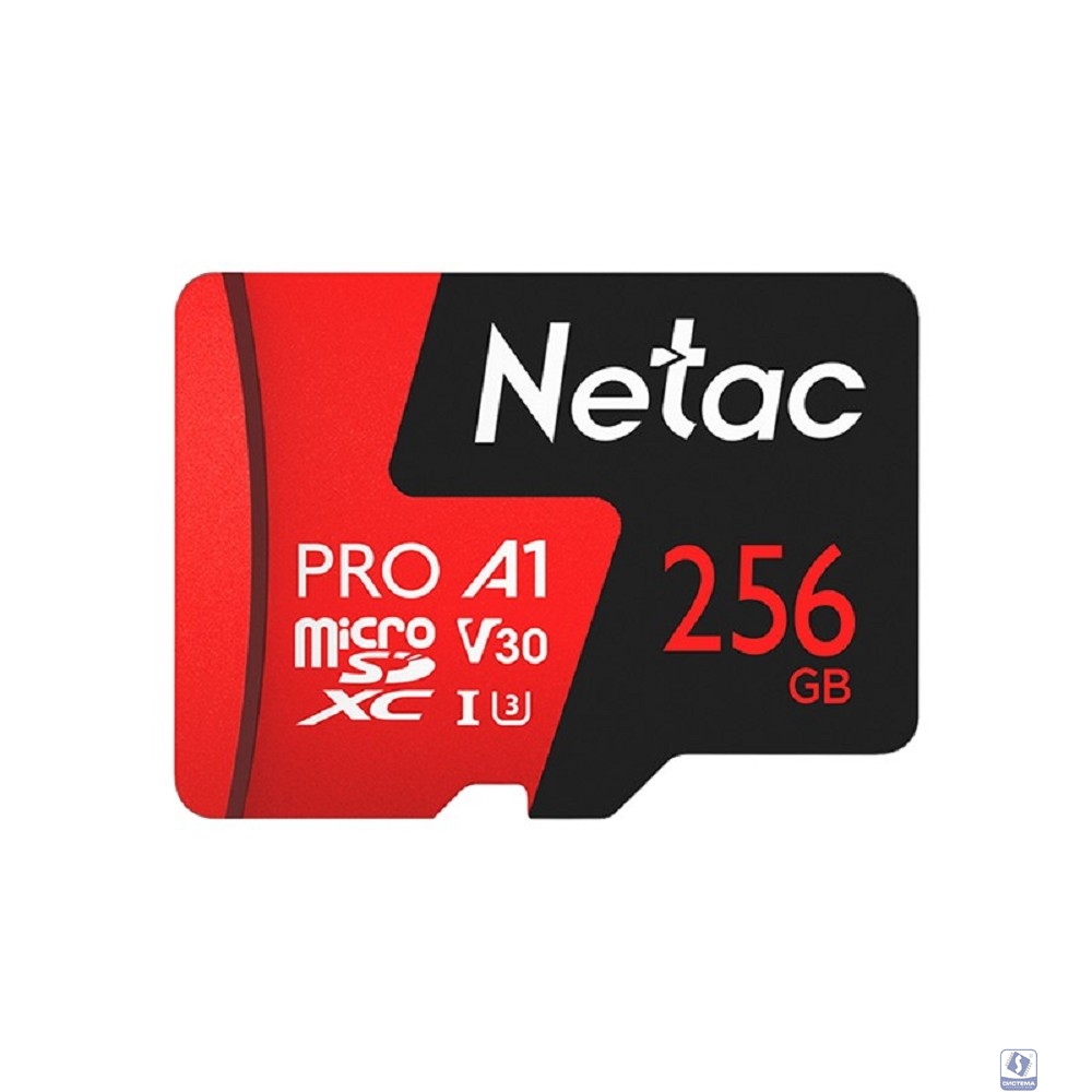Micro SecureDigital 256GB Netac microSDXC Class10 Netac NT02P500PRO-256G-R P500 Extreme Pro + adapter