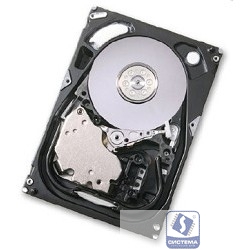 300Gb Hitachi Ultrastar 15K600 (HUS156030VLS600)  [HT0B23661]