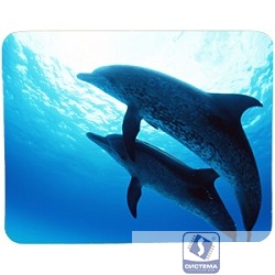 Коврик для мыши Buro BU-M40083 дельфины [817312]