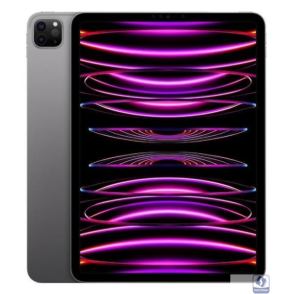 Apple iPad Pro 12.9-inch 2022 256GB Wi-Fi + Cellular - Space Gray [MP203RK/A]