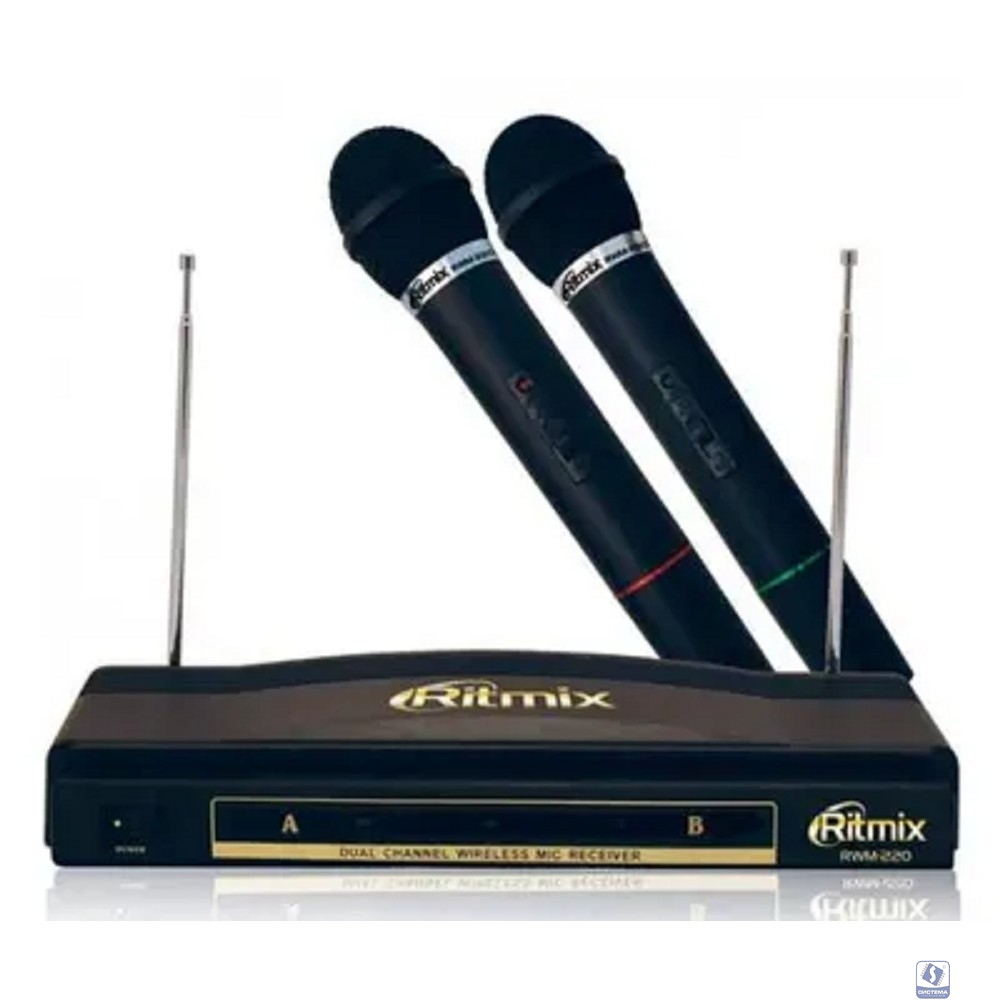 RITMIX RWM-220 