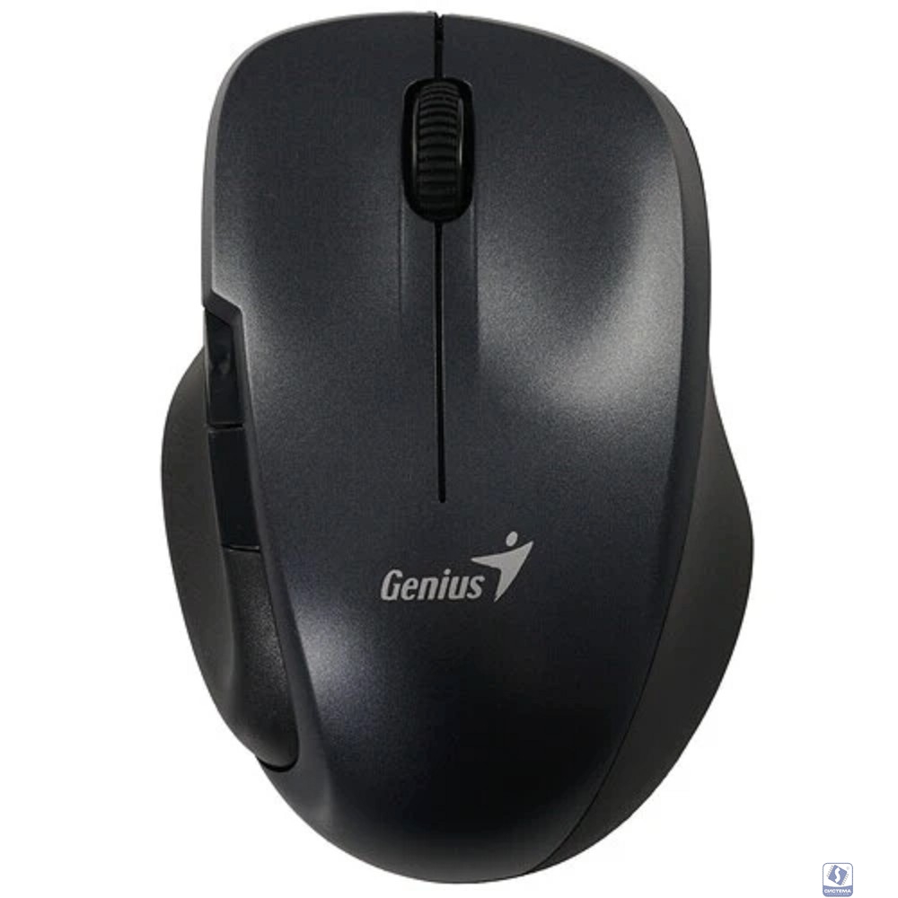 Мышь компьютерная Genius Ergo 8200S Iron Grey беспроводная (31030029401)
