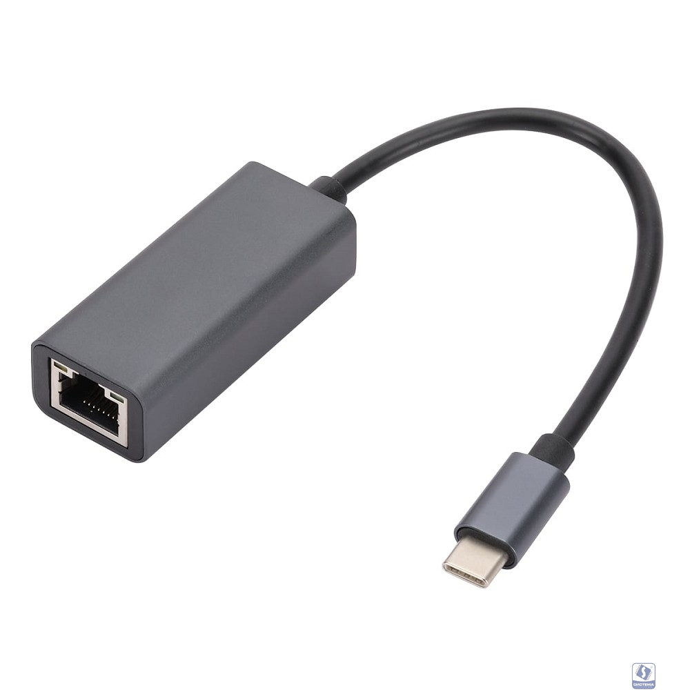 Bion Переходник с кабелем USB C - RJ45, 1000мб/с, алюминиевый корпус, 15 см, черный [BXP-A-USBC-LAN-ALB]