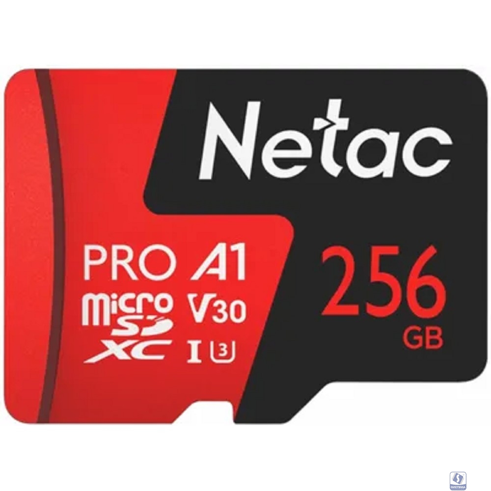 Micro SecureDigital 256GB Netac P500 Extreme Pro MicroSDXC V30/A1/C10 up to 100MB/s, retail pack card only [NT02P500PRO-256G-S]