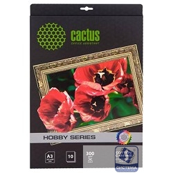 CACTUS CS-CA426010 Холст для струйной печати, A4, 300г/м2, 10 листов