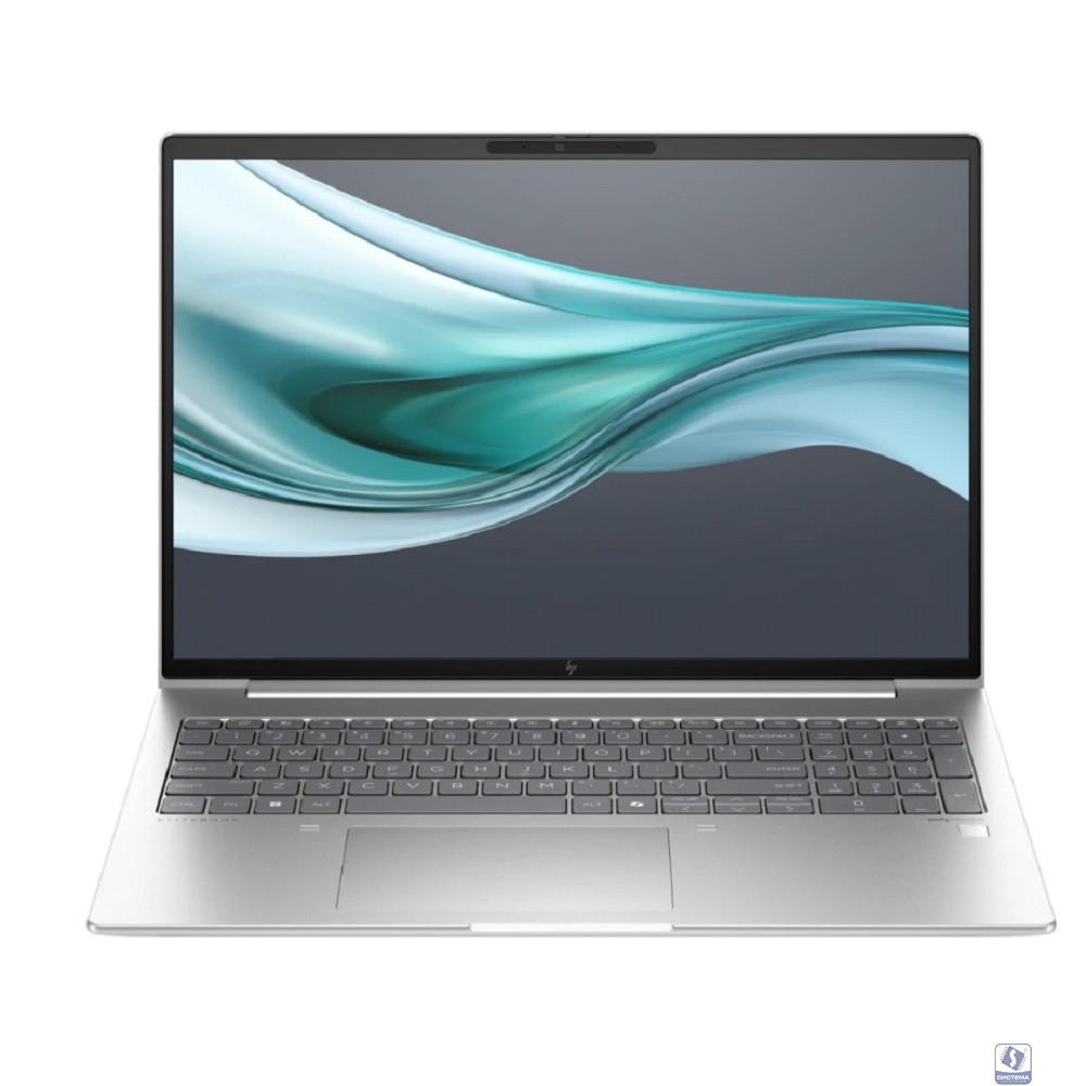 HP Elitebook 660 G11 [902D8AV] Silver  16" 
