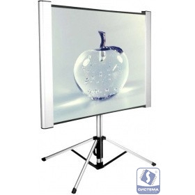 Экран Cactus 102x180см TriAlExpert CS-PSTALE-180X102 16:9 напольный рулонный