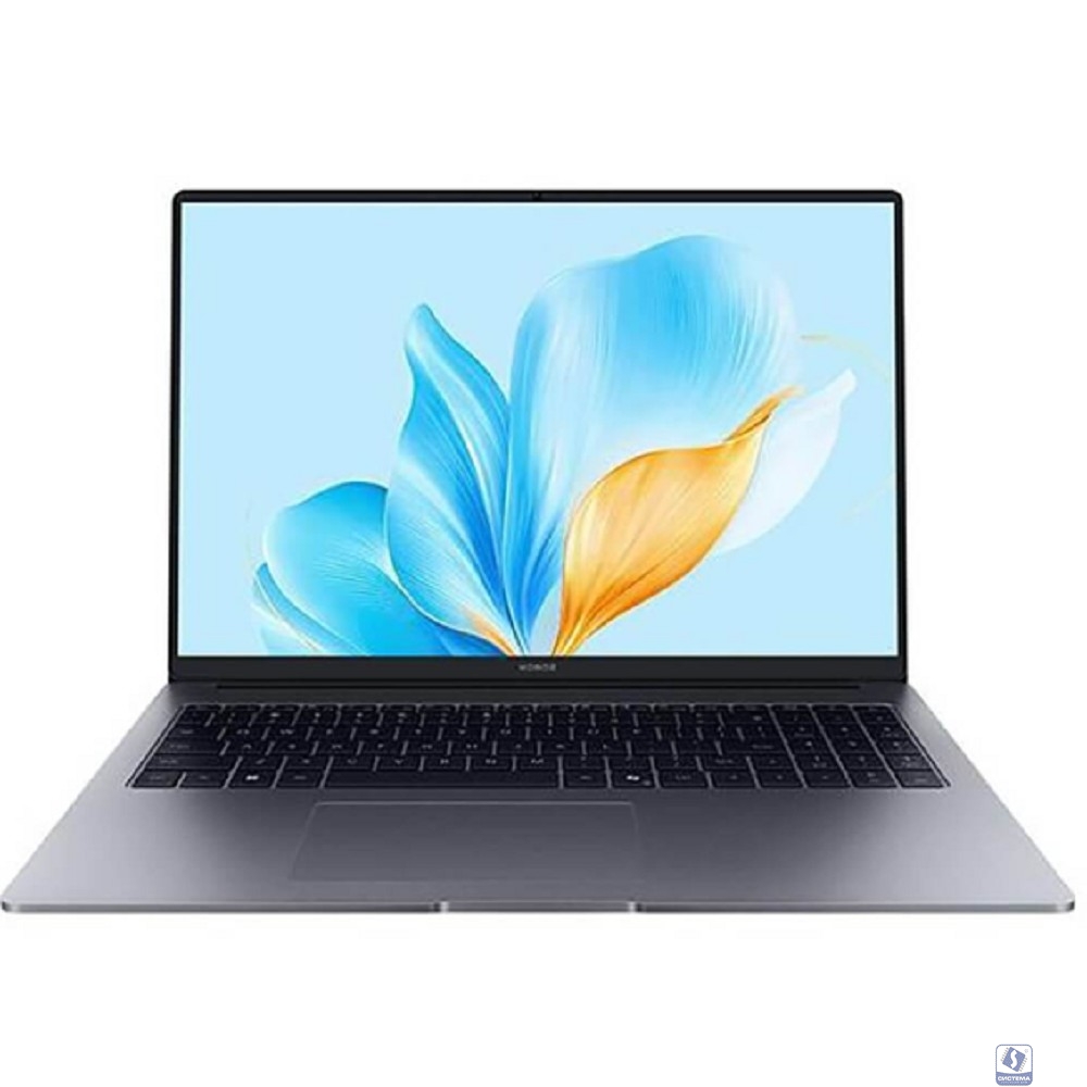 Honor MagicBook X16 BRG-565 [5301ALXN] Grey 16" 