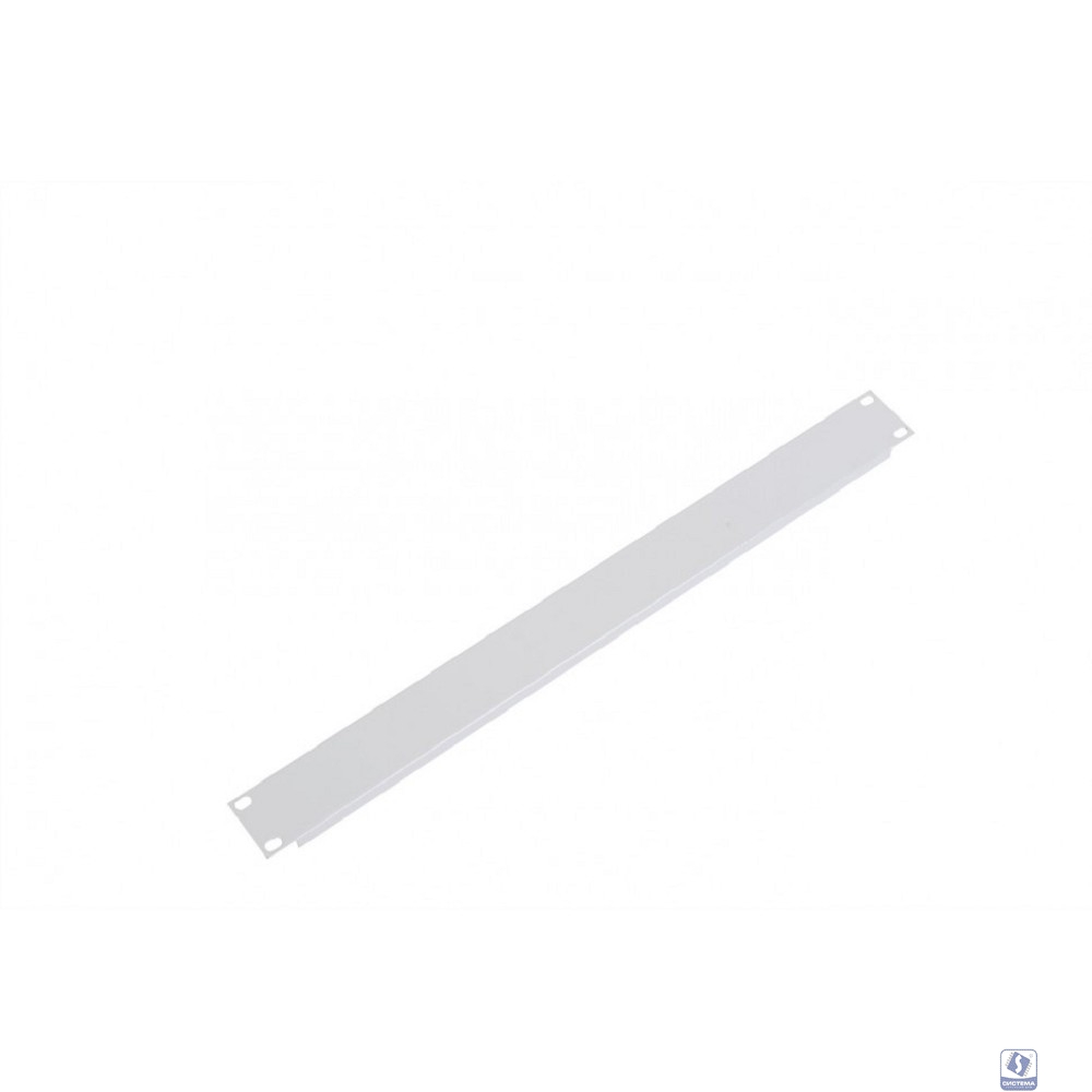 ЦМО Фальшпанель в шкаф 19" (ФП-1)