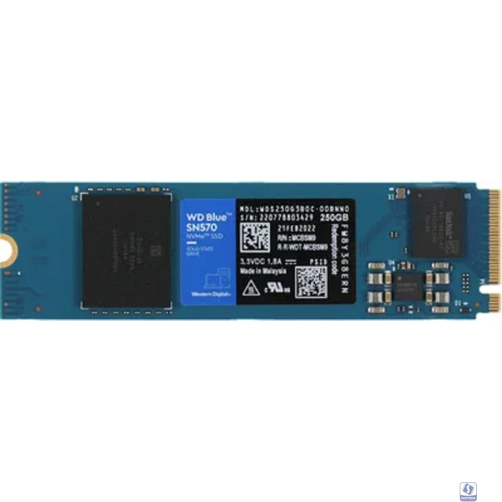 WD SSD M.2 250Gb WDS250G3B0C 