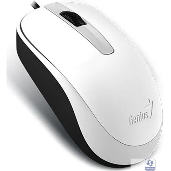 Genius Мышь DX-120 White  [31010105102/31010010401]
