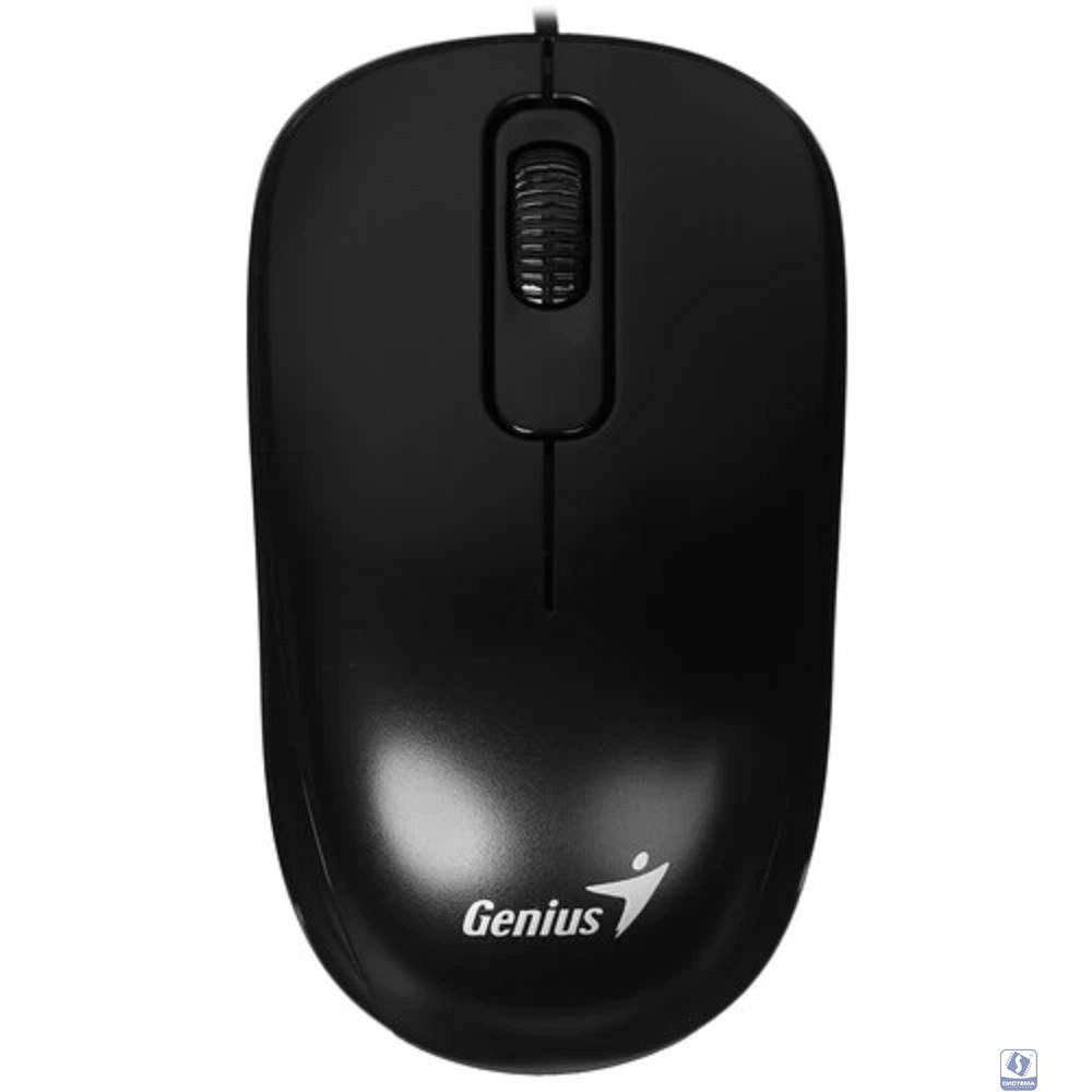 Мышь проводная Genius DX-110, USB, оптическая, разрешение 1000 DPI, 3 кнопки, кабель 1.5m, для правой/левой руки. Цвет: черный (31010009400)