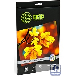Cactus CS-HGA426020 Фотобумага Professional суперглянцевая А4 260 г/м2 20 листов