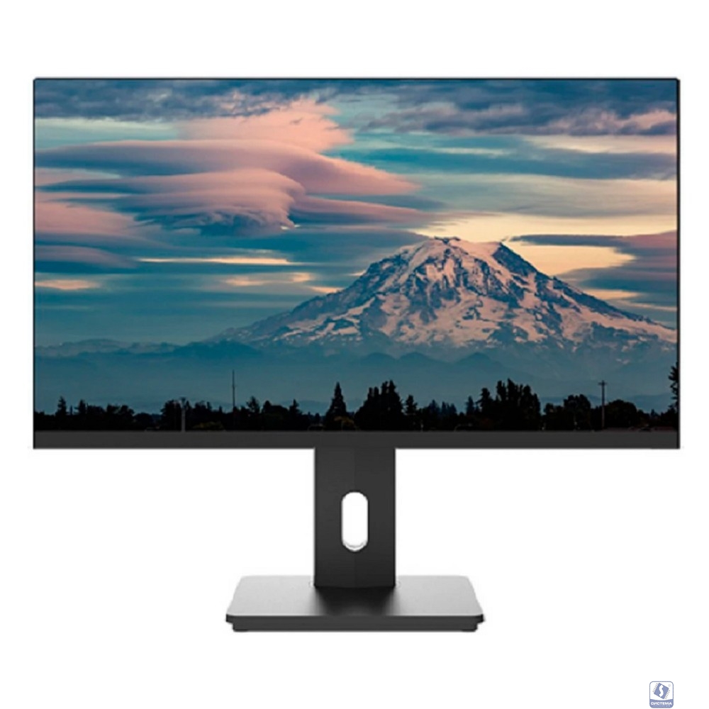 LCD Lime 23.8" F238L Black 