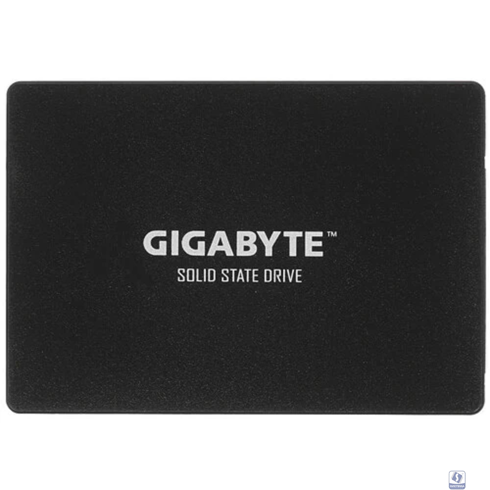 Gigabyte SSD 256GB GP-GSTFS31256GTND 