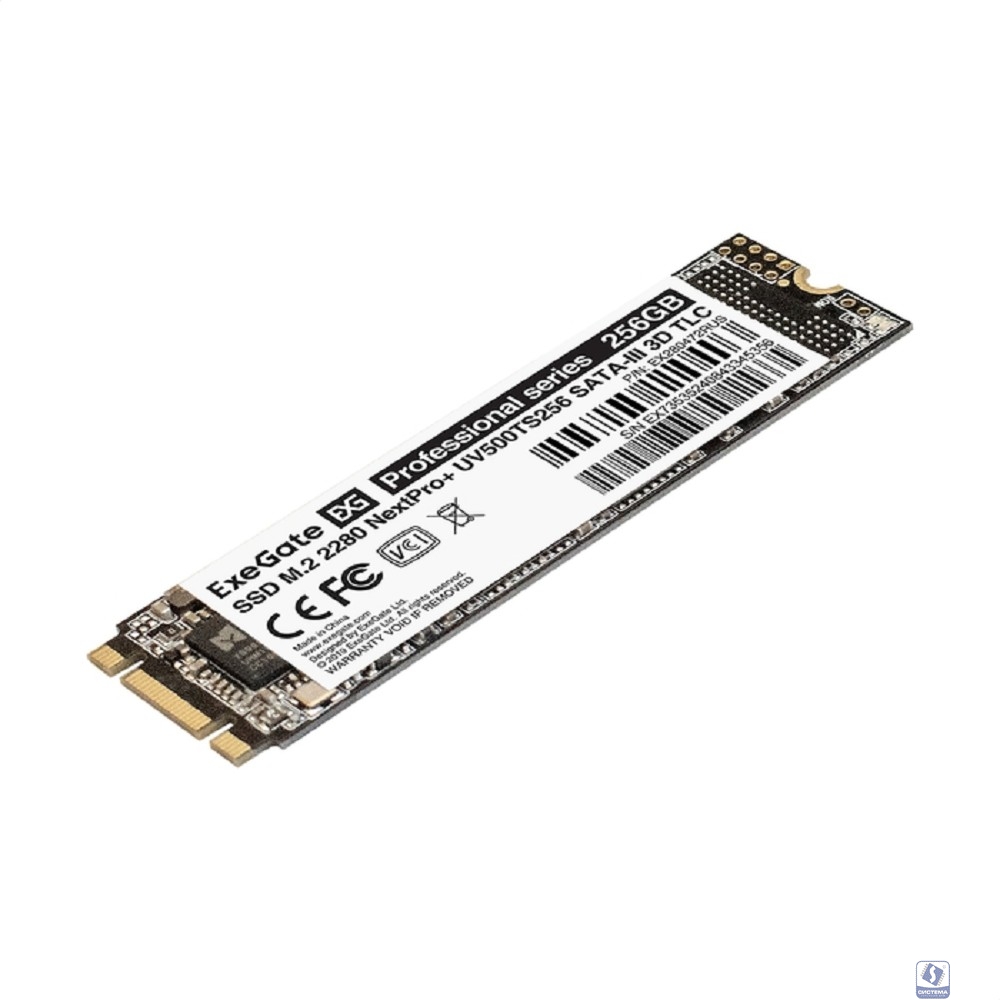 ExeGate SSD M.2 256GB Next Pro+ Series EX280472RUS