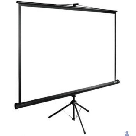 Экран Cactus TriExpert CS-PSTE-180x180-BK Экран 180x180 см 1:1 напольный рулонный