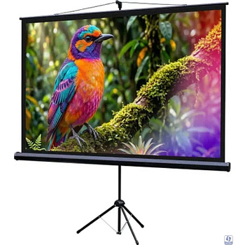 Lumien Eco View LEV-100115 Экран на штативе 130x227 см (раб.область 124х221 см) (100") Matte White 16:9