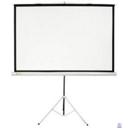 Экран Cactus Triscreen CS-PST-180X180 180х180см 1:1 напольный белый