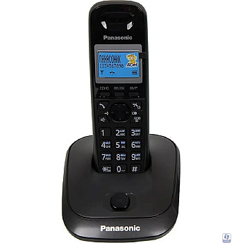 Panasonic KX-TG2511RUT (титан) 