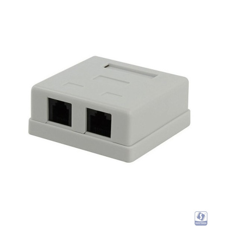 Gembird NA-TA/1 Розетка RJ45+RJ11 кат.5e UTP внешняя 2 порта, 110&Krone