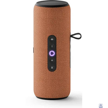 Яндекс Станция Стрит Оранжевая [YNDX-00030ORG]