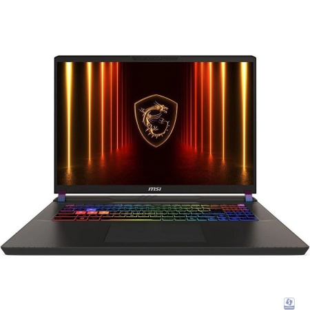 MSI Vector 17 HX AI A2XWIG-063XRU [9S7-17S372-063] Cosmos Gray 17" 