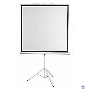 Digis Kontur-D [DSKD-1106] Экран на штативе, формат 1:1, 112", 206x209, рабочая поверхность 200x200, MW