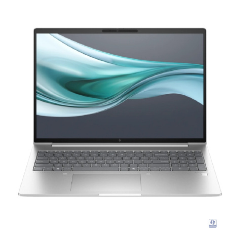 HP Elitebook 660 G11 [902D8AV] Silver  16" 