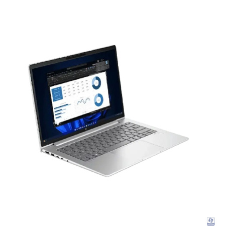 HP Probook 440 G11 [DJ9P3PT] Silver 14" 