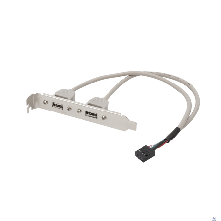 Bion планка портов 2xUSB2.0, 30 см [BXP-MB-2USB]