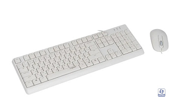 Клавиатура + мышь Rapoo X130PRO клав:белый мышь:белый, 1.5м, доп. защита от влаги