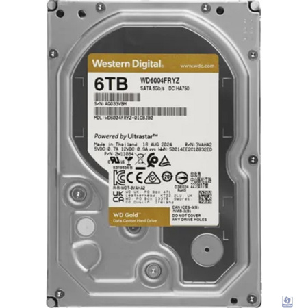 6TB WD Gold  (WD6004FRYZ) 