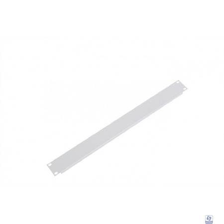ЦМО Фальшпанель в шкаф 19" (ФП-1)