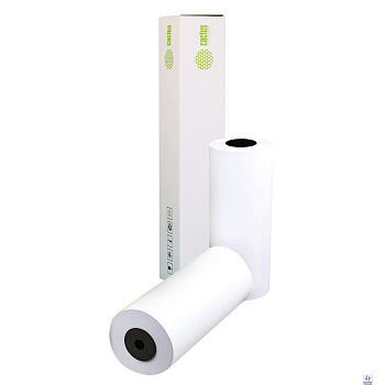 Бумага Cactus CS-LFP80-297457 12" 297мм-45.7м/80г/м2/белый CIE171% втулка:50.8мм (2") (упак.:2рул)