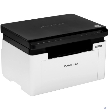 Pantum BM1800 