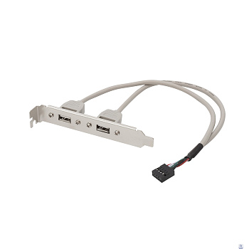 Bion планка портов 2xUSB2.0, 30 см [BXP-MB-2USB]