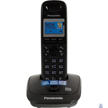 Panasonic KX-TG2521RUT (титан) 